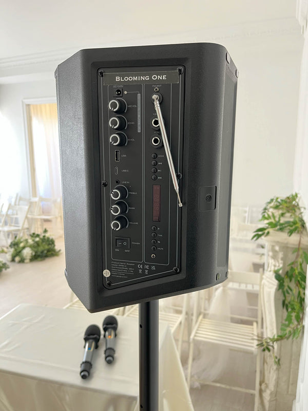 Portable Speaker with Wireless Microphones Rental