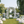 Deluxe Ceremony + Reception Package